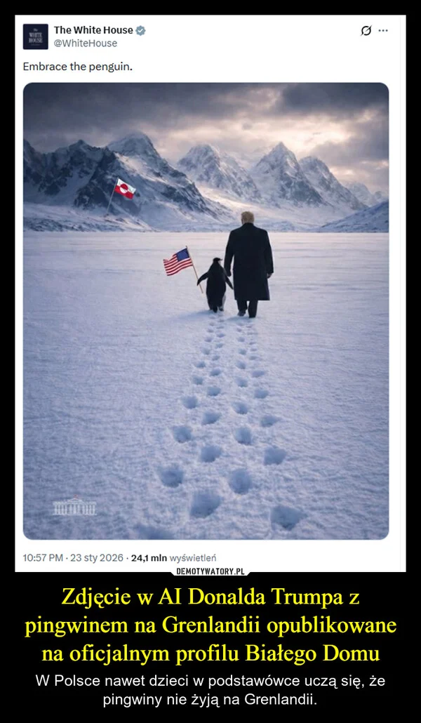 Zdjęcie w AI Donalda Trumpa z pingwinem na Grenlandii opublikowane na oficjalnym profilu Białego Domu