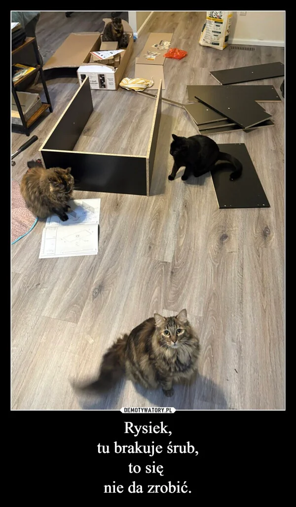 Rysiek, tu brakuje śrub, to się nie da zrobić.