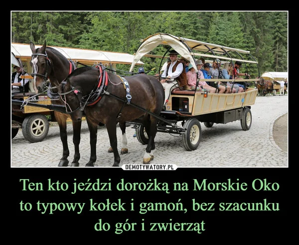 Ten kto jeździ dorożką na Morskie Oko to typowy kołek i gamoń, bez szacunku do gór i zwierząt