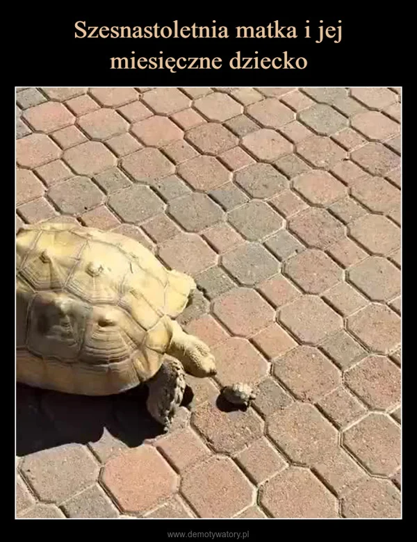 Szesnastoletnia matka i jej miesięczne dziecko