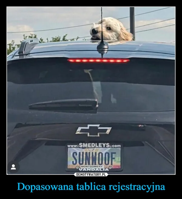 Dopasowana tablica rejestracyjna