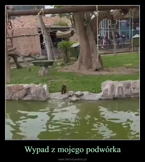 
    Wypad z mojego podwórka
