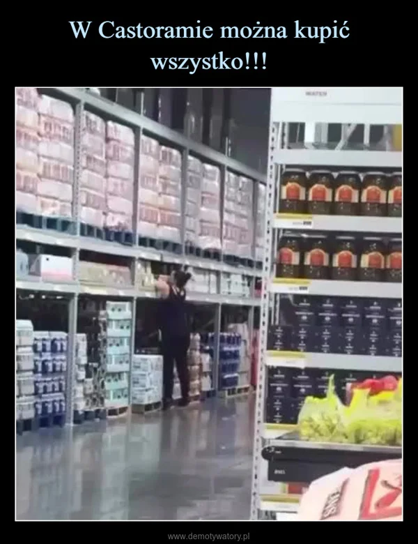 W Castoramie można kupić wszystko!!!