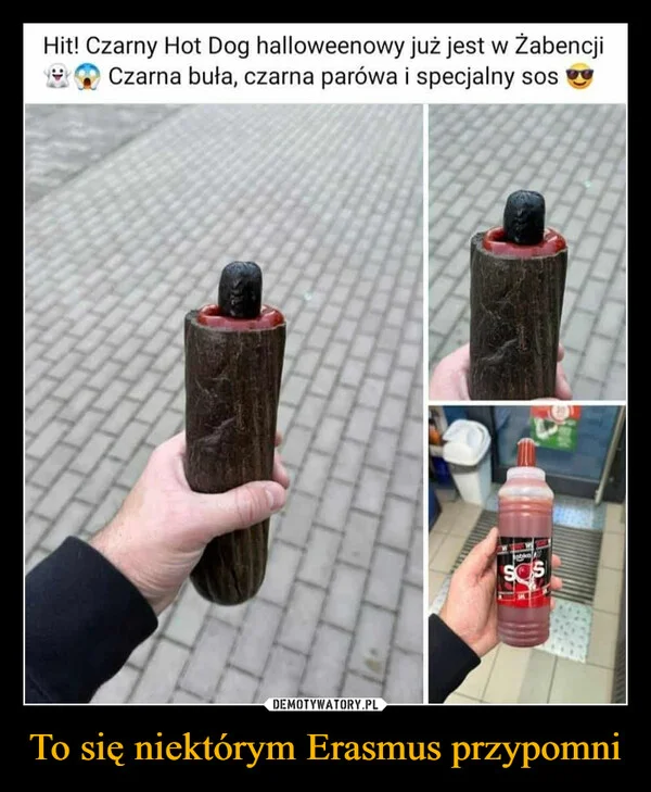 To się niektórym Erasmus przypomni