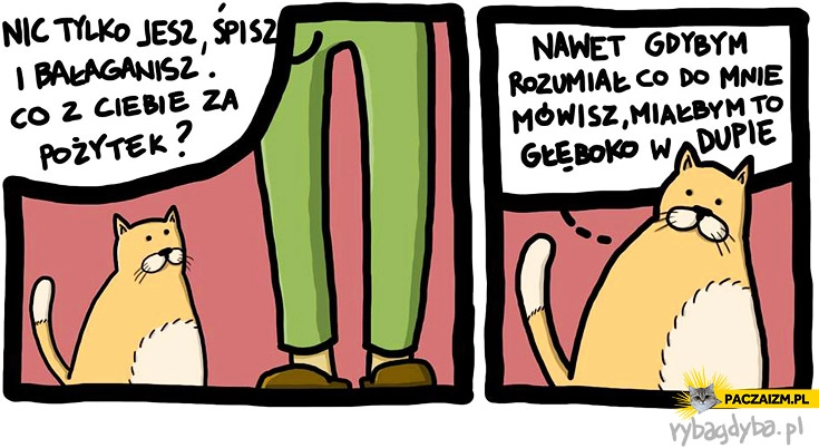 Nawet gdybym rozumiał miałbym to głęboko w dupie