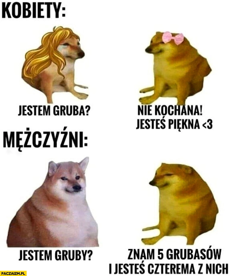 Kobiety: jestem gruba, nie kochana jesteś piękna, mężczyźni: znam 5 grubasów i jesteś czterema z nich pies pieseł doge