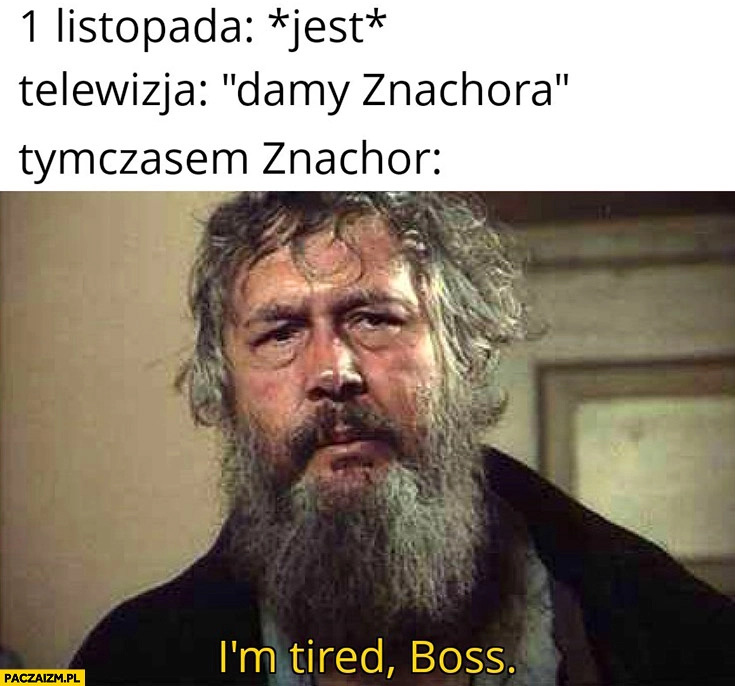 1 listopada: jest, telewizja: damy Znachora, tymczasem Znachor: I’m tired boss
