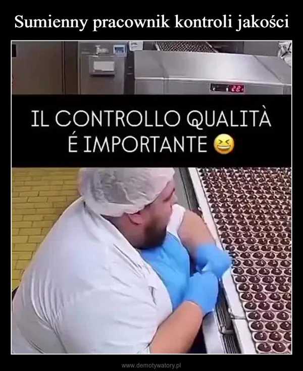 
    Sumienny pracownik kontroli jakości