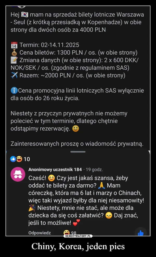 Chiny, Korea, jeden pies