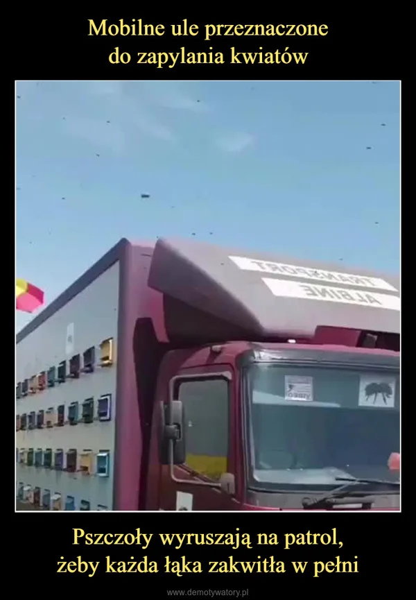 Mobilne ule przeznaczone do zapylania kwiatów Pszczoły wyruszają na patrol, żeby każda łąka zakwitła w pełni