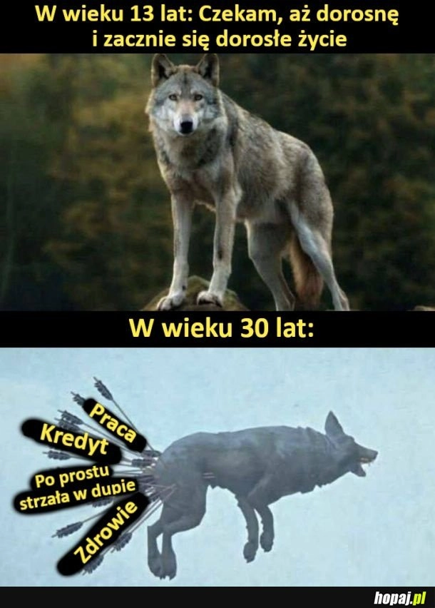
    Także tak