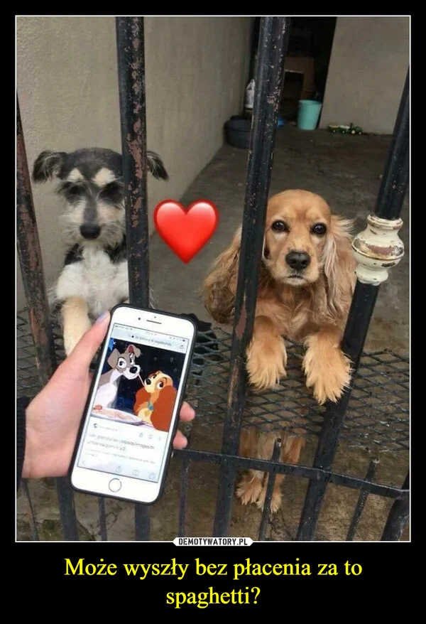 Może wyszły bez płacenia za to spaghetti?