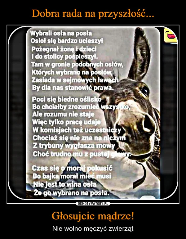 Dobra rada na przyszłość... Głosujcie mądrze!