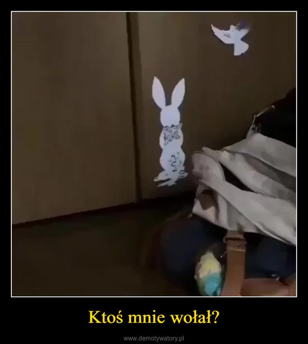 Ktoś mnie wołał?