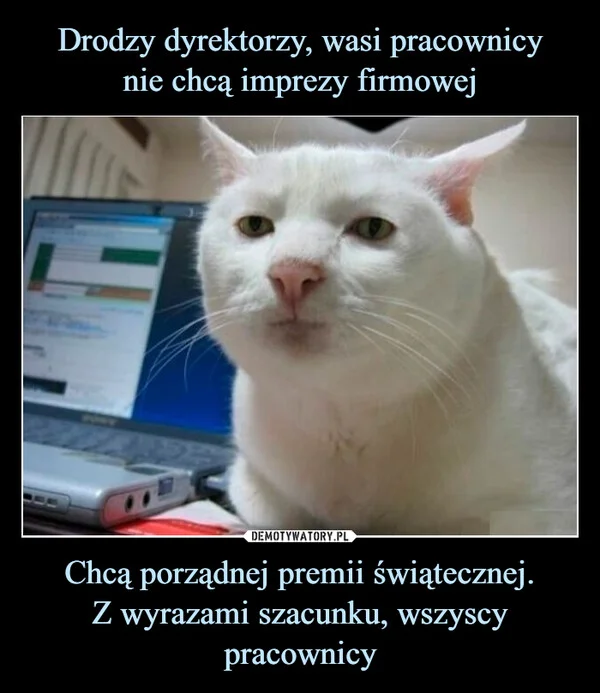 Drodzy dyrektorzy, wasi pracownicy nie chcą imprezy firmowej Chcą porządnej premii świątecznej. Z wyrazami szacunku, wszyscy pracownicy