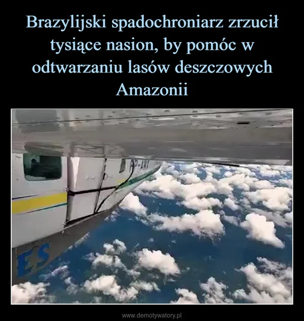 
    Brazylijski spadochroniarz zrzucił tysiące nasion, by pomóc w odtwarzaniu lasów deszczowych Amazonii