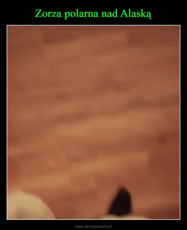 Zorza polarna nad Alaską