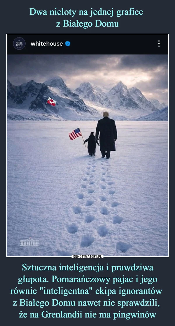 
    Dwa nieloty na jednej grafice z Białego Domu Sztuczna inteligencja i prawdziwa głupota. Pomarańczowy pajac i jego równie 