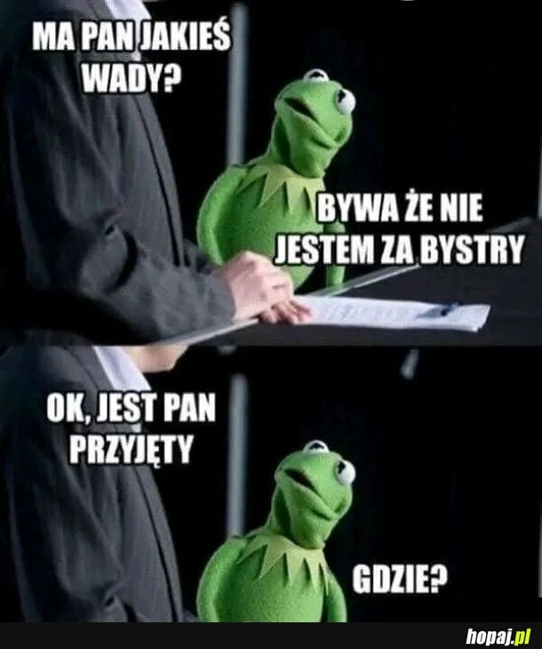 Rozmowa o pracę...