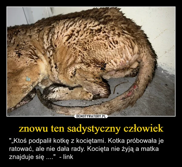 znowu ten sadystyczny człowiek