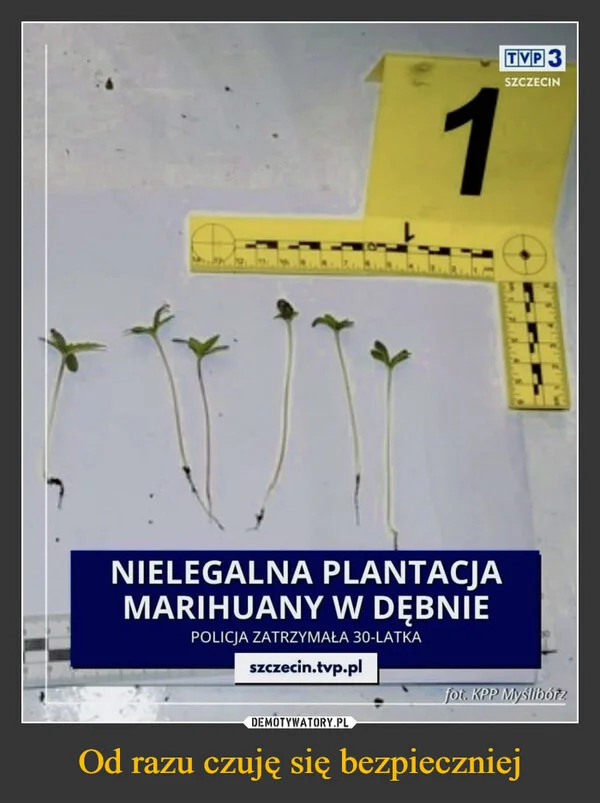 Od razu czuję się bezpieczniej