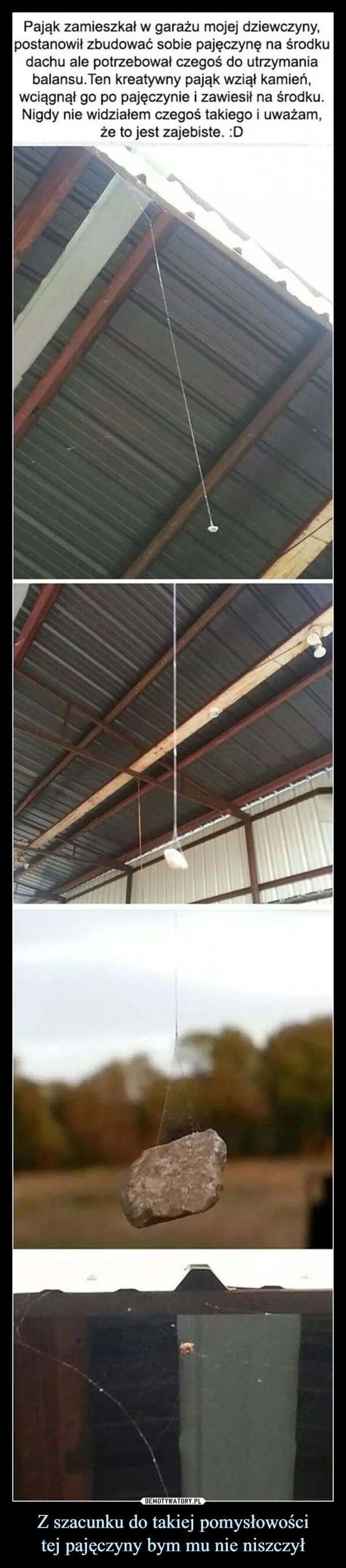 Z szacunku do takiej pomysłowości tej pajęczyny bym mu nie niszczył
