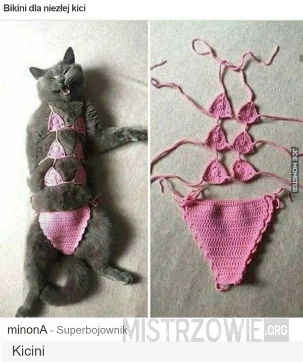 
    Bikini dla niezłej kici