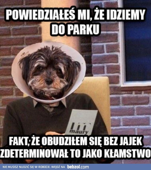 
    Zawiodłeś mnie, panie!