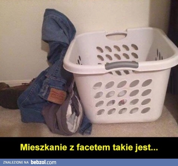 Mieszkanie z facetem