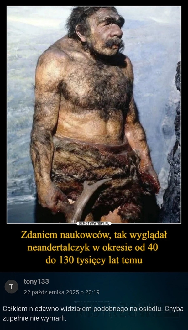 
    Neandertalczyk