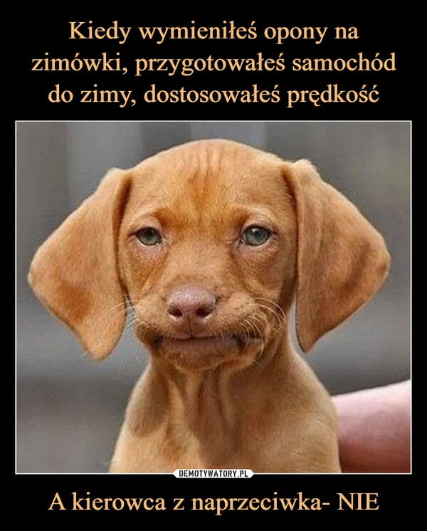 Kiedy wymieniłeś opony na zimówki, przygotowałeś samochód do zimy, dostosowałeś prędkość A kierowca z naprzeciwka- NIE