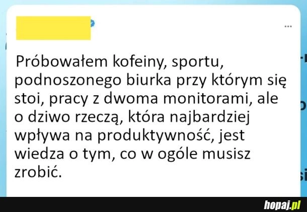 
    Produktywność