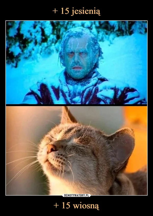 + 15 jesienią + 15 wiosną