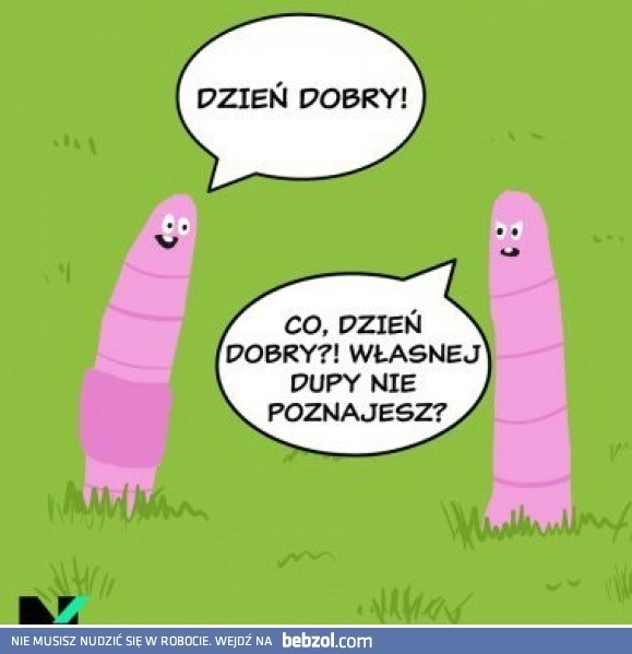 Nie poznał
