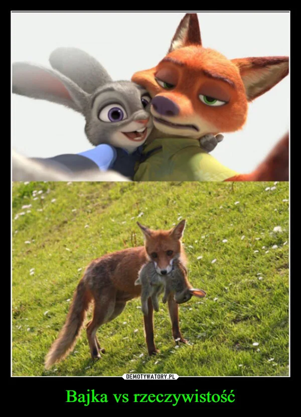 Bajka vs rzeczywistość