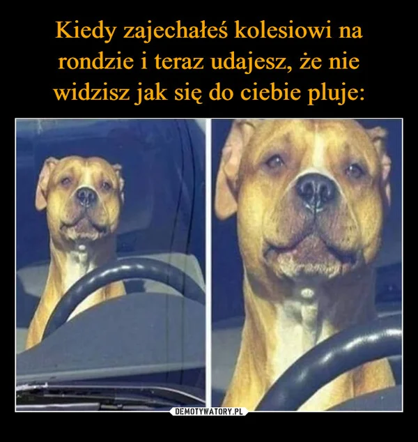 Kiedy zajechałeś kolesiowi na rondzie i teraz udajesz, że nie widzisz jak się do ciebie pluje: