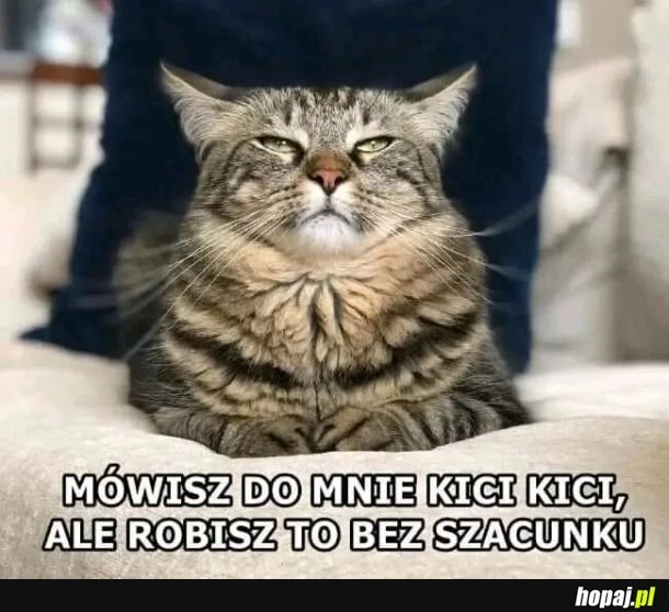 Szacunek