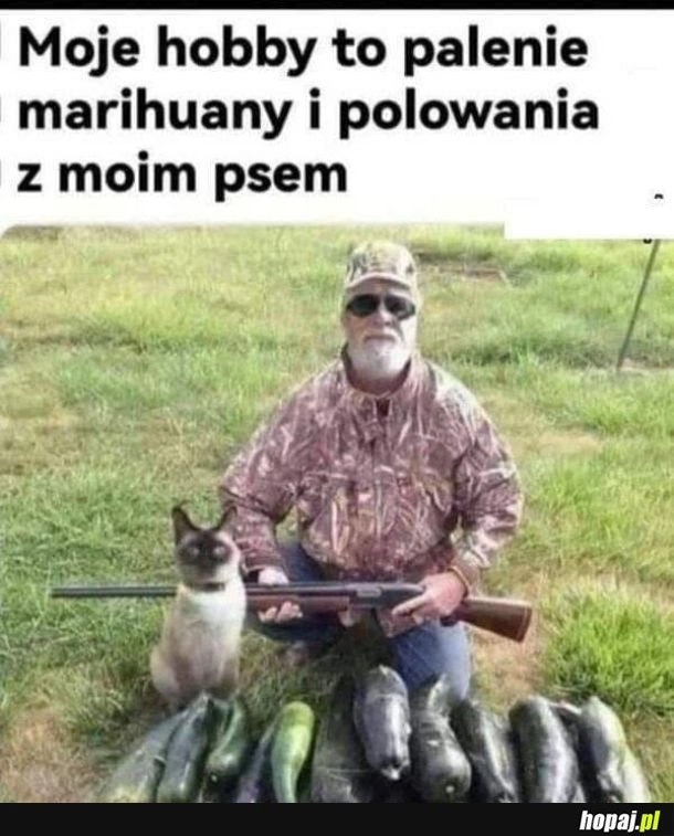 Hobby