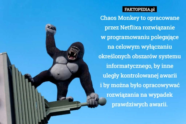 Chaos Monkey to opracowane przez Netflixa rozwiązanie
w programowaniu polegające
