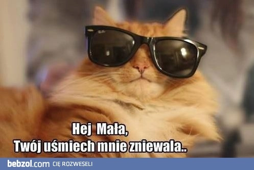 
    Hej