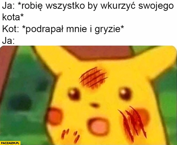 Ja: robię wszystko żeby wkurzyć swojego kota, kot podrapał mnie i gryzie, ja: zdziwiony podrapany Pikachu