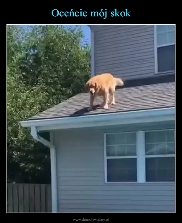 Oceńcie mój skok
