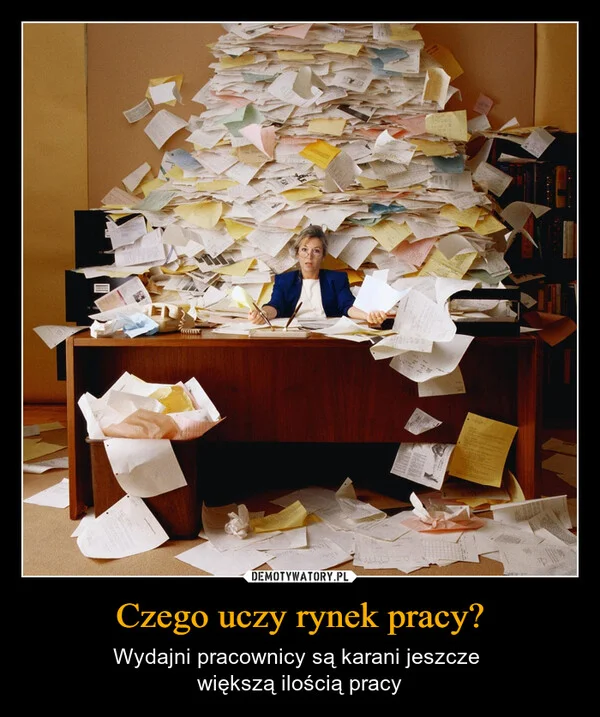 Czego uczy rynek pracy?