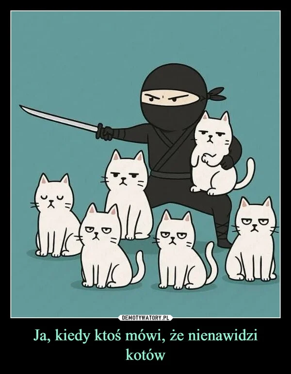 Ja, kiedy ktoś mówi, że nienawidzi kotów