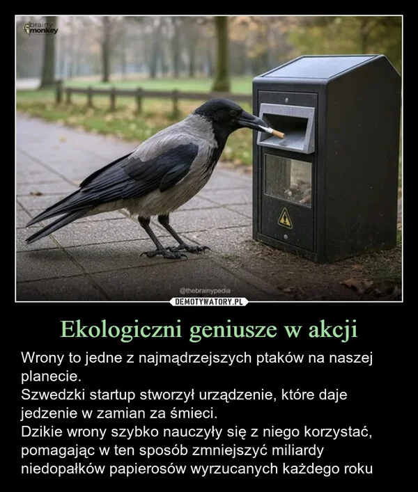 Ekologiczni geniusze w akcji