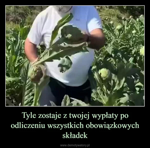 
    Tyle zostaje z twojej wypłaty po odliczeniu wszystkich obowiązkowych składek