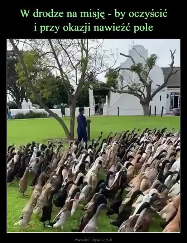 W drodze na misję - by oczyścić i przy okazji nawieźć pole