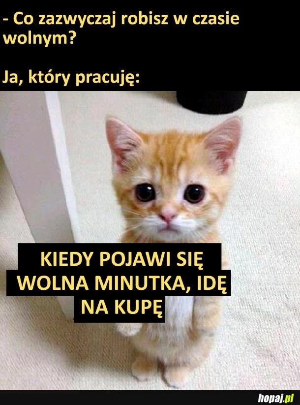 
    Czas wolny
