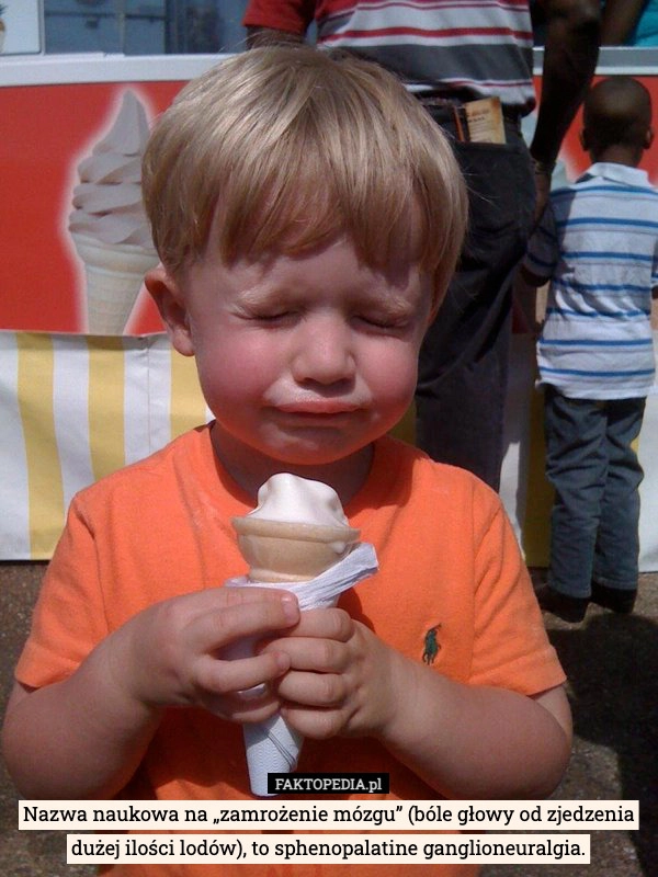 Nazwa naukowa na „zamrożenie mózgu” (bóle głowy od zjedzenia dużej ilości