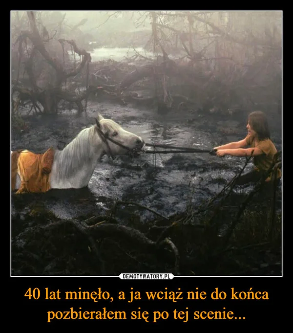 
    40 lat minęło, a ja wciąż nie do końca pozbierałem się po tej scenie...